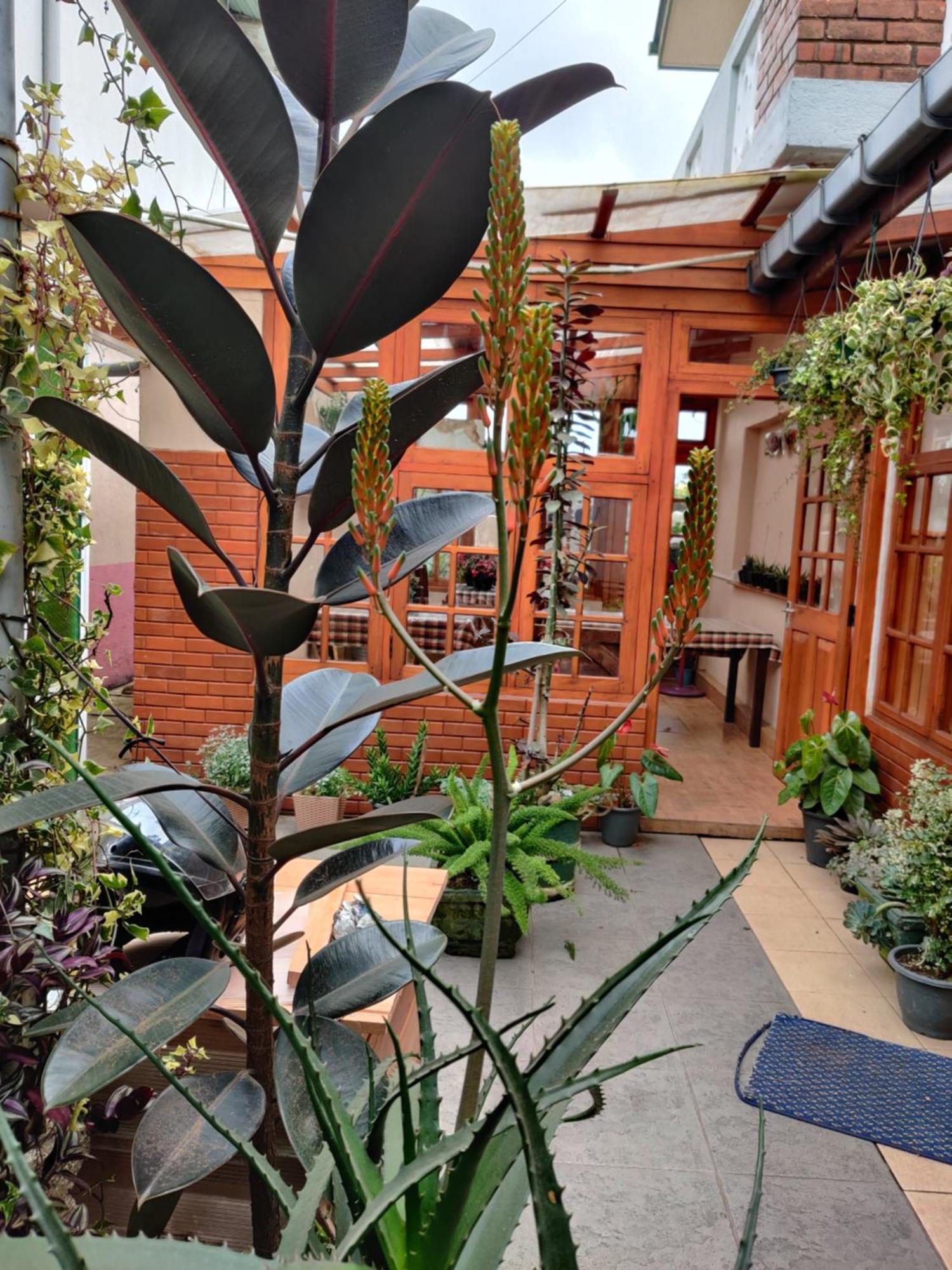 Carnation Rest Otel Nuwara Eliya Dış mekan fotoğraf